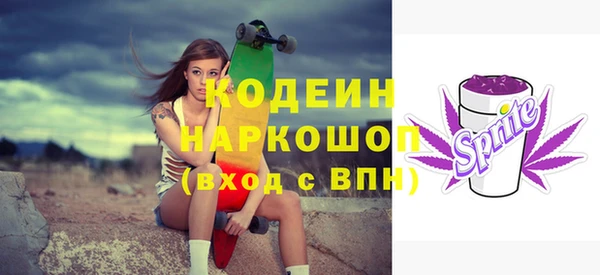 винт Няндома