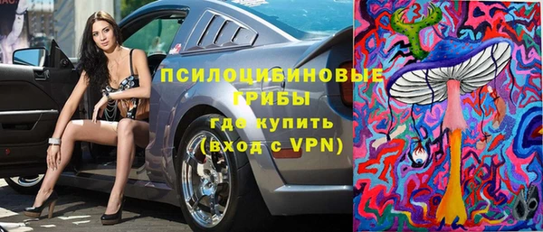 винт Няндома