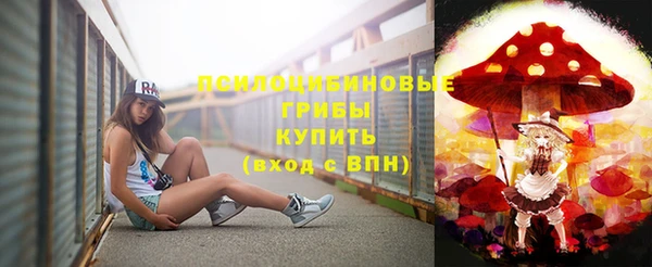 прущие грибы Нягань