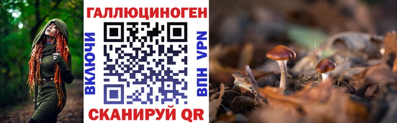 Галлюциногенные грибы Magic Shrooms  хочу наркоту  Якутск 