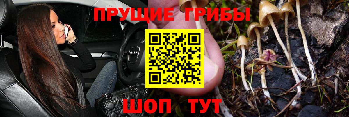 Якутск  Галлюциногенные грибы MAGIC MUSHROOMS  Галлюциногенные грибы GOLDEN TEACHER  Вход с VPN 