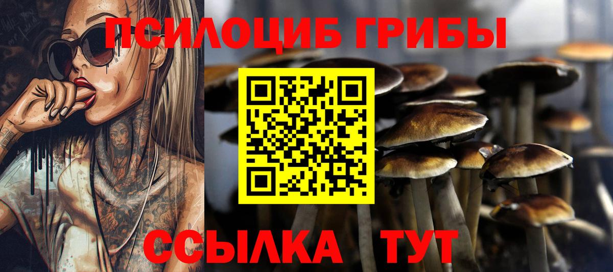 Галлюциногенные грибы ЛСД Якутск